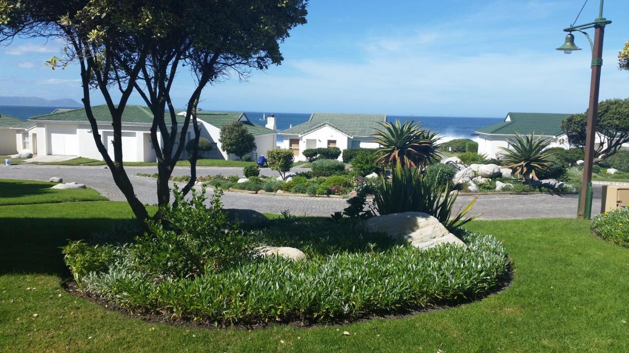 The Potting Shed Self Catering Appartement Hermanus Buitenkant foto
