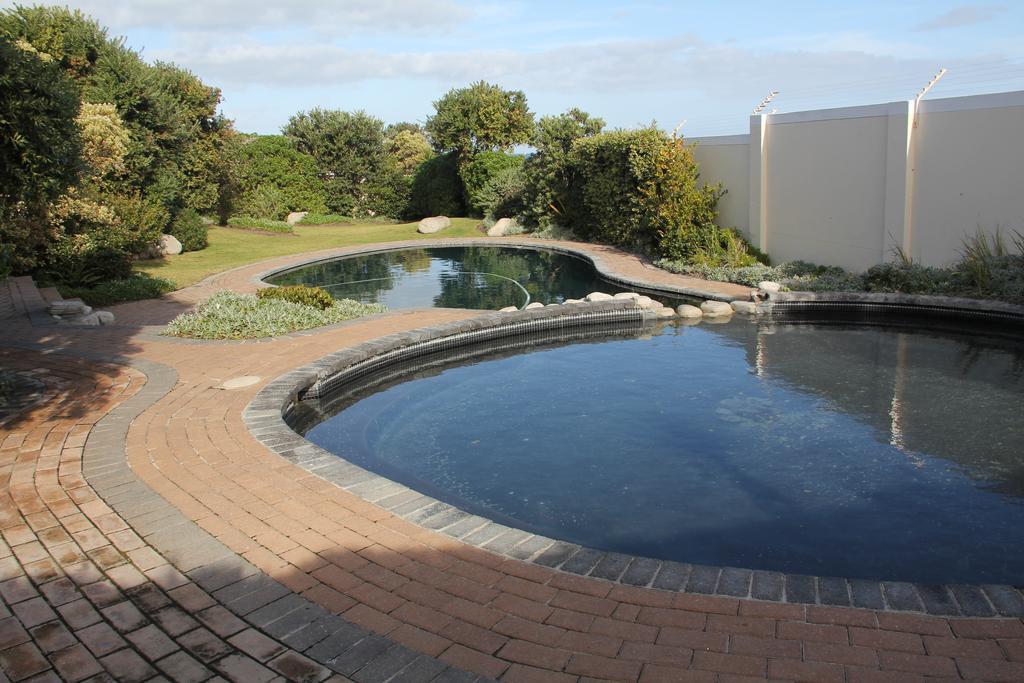 The Potting Shed Self Catering Appartement Hermanus Kamer foto