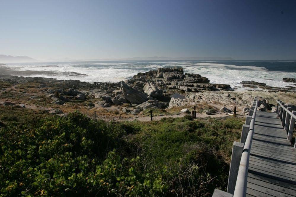 The Potting Shed Self Catering Appartement Hermanus Buitenkant foto