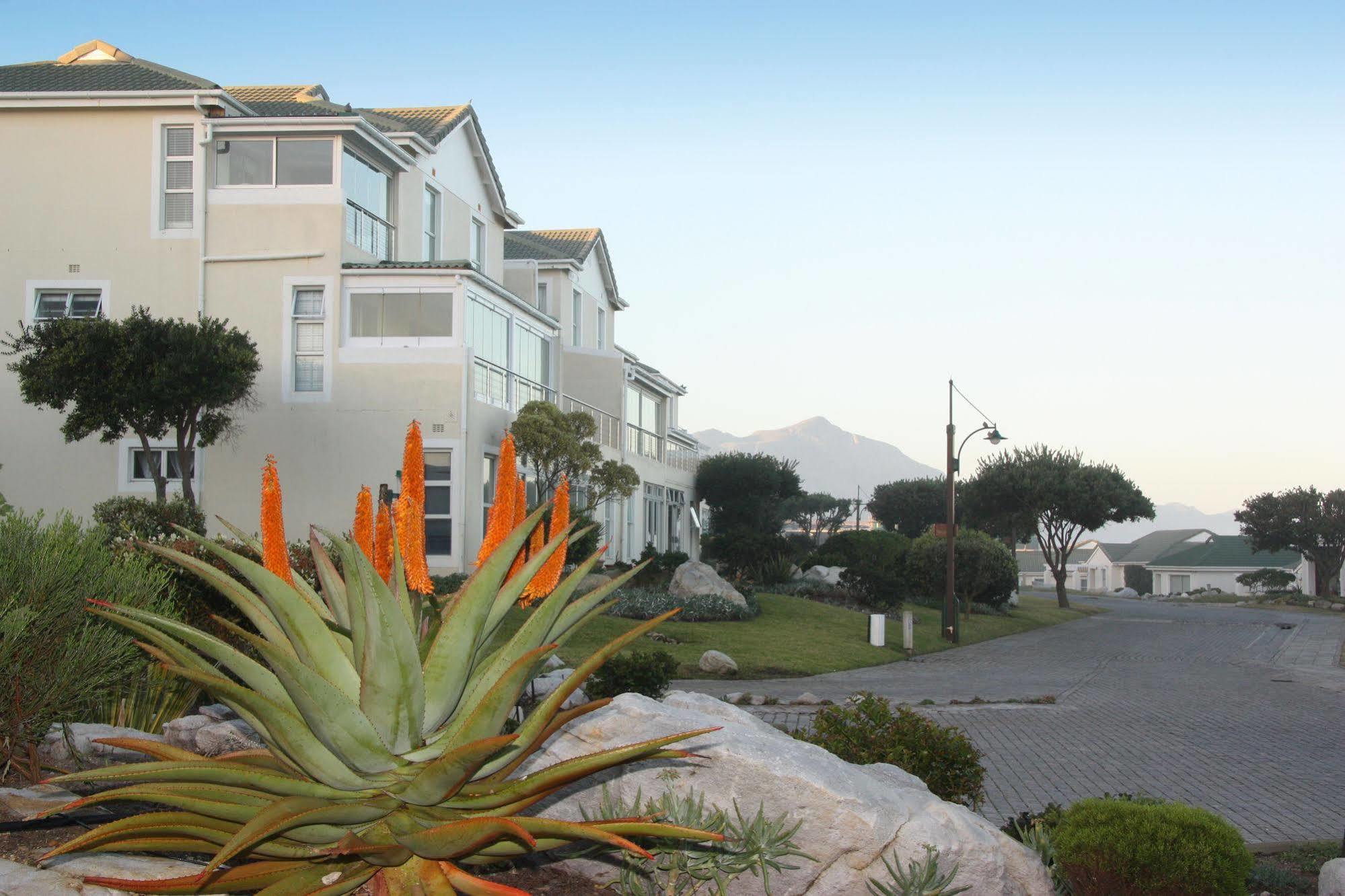 The Potting Shed Self Catering Appartement Hermanus Buitenkant foto